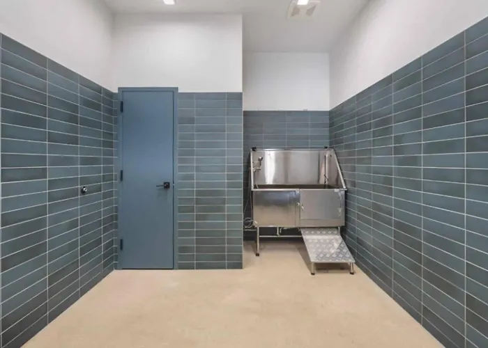 Apartment Gym+hulu+parking Near Universities|upmc|shopping